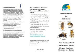 Infoblatt Wespen, Hornissen, Hummeln und Bienen