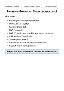 Molekularbiologie I Skript