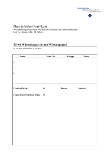 Physikalisches Praktikum