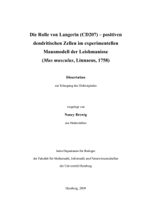 Die Rolle von Langerin (CD207) – positiven dendritischen Zellen im