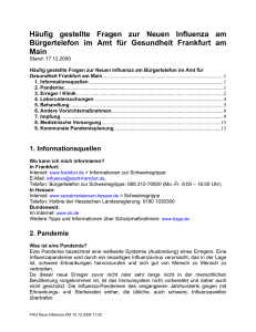 Häufig gestellte Fragen zur Neuen Influenza (pdf, 107