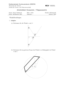 Arbeitsblatt Geometrie / Trigonometrie Winkelbeziehugen