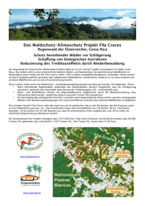 Das Waldschutz-Klimaschutz Projekt Fila Cruces