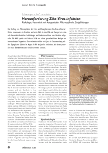 Herausforderung Zika-Virus-Infektion