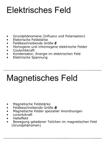 Elektrisches Feld Magnetisches Feld - idn.uni