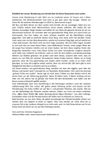 Bericht - Frauenverein-Biel