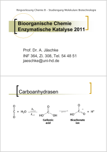 Bioorganische Chemie Enzymatische Katalyse