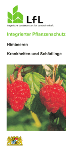Die Publikation als PDF 743 KB - Bayerische Landesanstalt für
