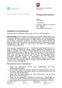 Schutz vor Zecken beim Waldbesuch