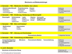 Curriculum Biochemie