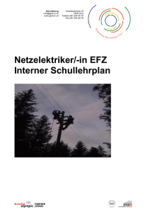 Netzelektriker/-in EFZ Interner Schullehrplan