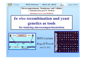 IRTG-Seminar - April 25, 2012