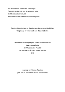 Dokument 1 - SciDok - Universität des Saarlandes