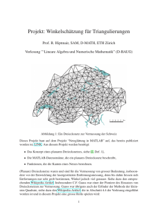 Projekt: Winkelschätzung f¨ur Triangulierungen