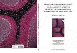 Immunhistochemische Untersuchungen zur Myelinisierung und