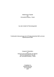 Doktorarbeit Stefanie Benzrath