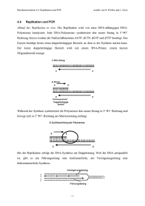 Thema44 Replikation PCR 12