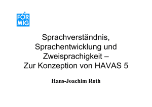 Zur Konzeption von HAVAS 5