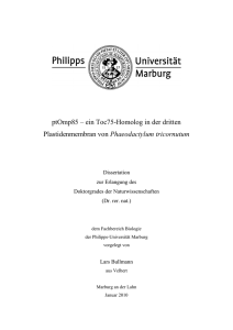 Dissertation Lars Bullmann