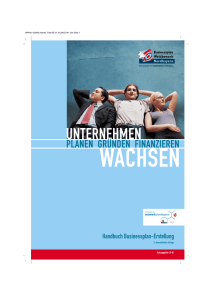 Handbuch Businessplan-Erstellung