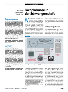 Toxoplasmose in der Schwangerschaft