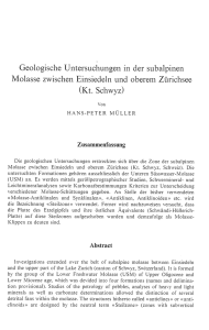 Geologische Untersuchungen in der subalpinen Molasse