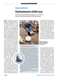 Guineawurm stirbt aus - Deutsches Ärzteblatt