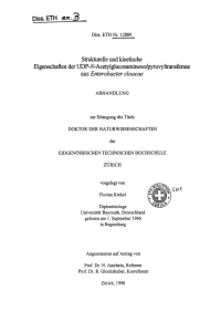 Eigenschaften der UDP-A^Acetylglucosaminewo - ETH E