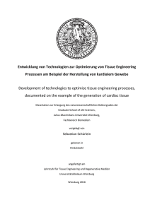 Schuerlein_Sebastian_Tissue_Engineering