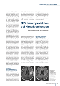 EPO: Neuroprotektion bei Hirnerkrankungen