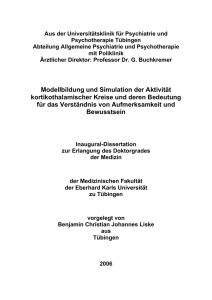 Modellbildung und Simulation der Aktivität