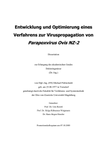 Entwicklung und Optimierung eines Verfahrens zur