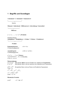 1 Begriffe und Grundlagen - koppatz