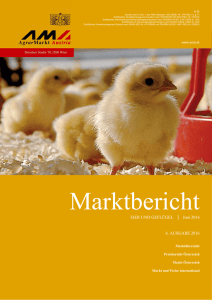 Marktbericht Eier und Geflügel, Ausgabe Juni 2016