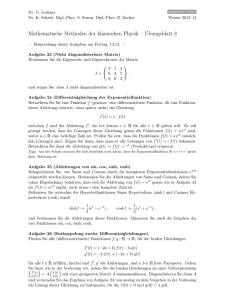 Mathematische Methoden der klassischen Physik – Übungsblatt 8