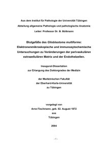 Blutgefäße des Glioblastoma multiforme: Elektronenmikroskopische