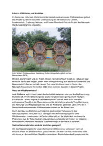 Infos zu Wildbienen und Nisthilfen - Naturpark Saar