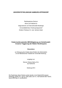 Fetale kardiovaskuläre MR-Bildgebung am Schafmodell: Invasive