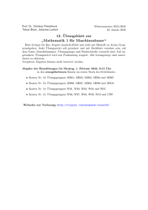 13. ¨Ubungsblatt zur ” Mathematik 1 für Maschinenbauer“