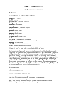 THEMA I. ELEKTROTECHNIK Text V. Magnete und Magnetpole