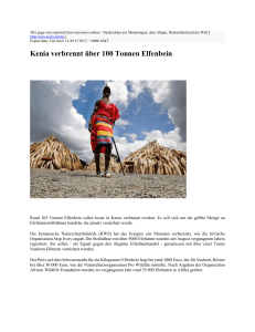 Kenia verbrennt über 100 Tonnen Elfenbein : mm