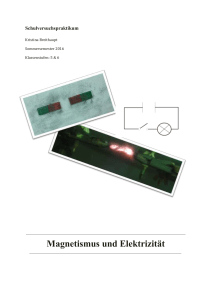 Magnetismus und Elektrizität - Unterrichtsmaterialien Chemie