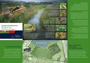 Ausgleichsmaßnahmen Neuländer See: Das Moor soll leben!