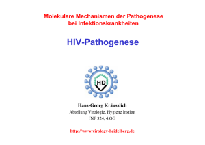 HIV-Pathogenese