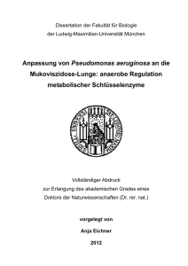 Anpassung von Pseudomonas aeruginosa an die Mukoviszidose