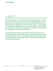 Siemens-Geschäftsbericht 2010, Aufstellung