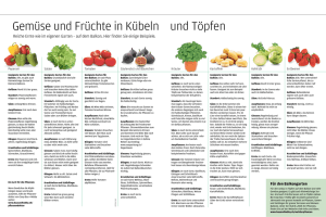 Gemüse und Früchte in Kübeln und Töpfen