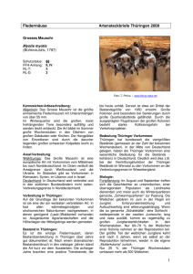 1 Fledermäuse Artensteckbriefe Thüringen 2009
