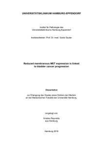 Dokument 1 - E-Dissertationen der Universität Hamburg