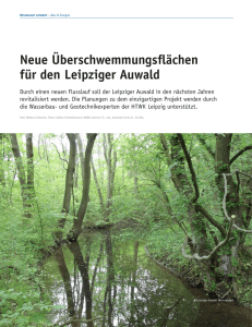 Neue Überschwemmungsflächen für den Leipziger Auwald